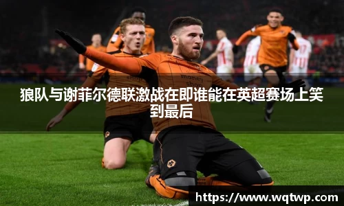 BB贝博艾弗森官方网站